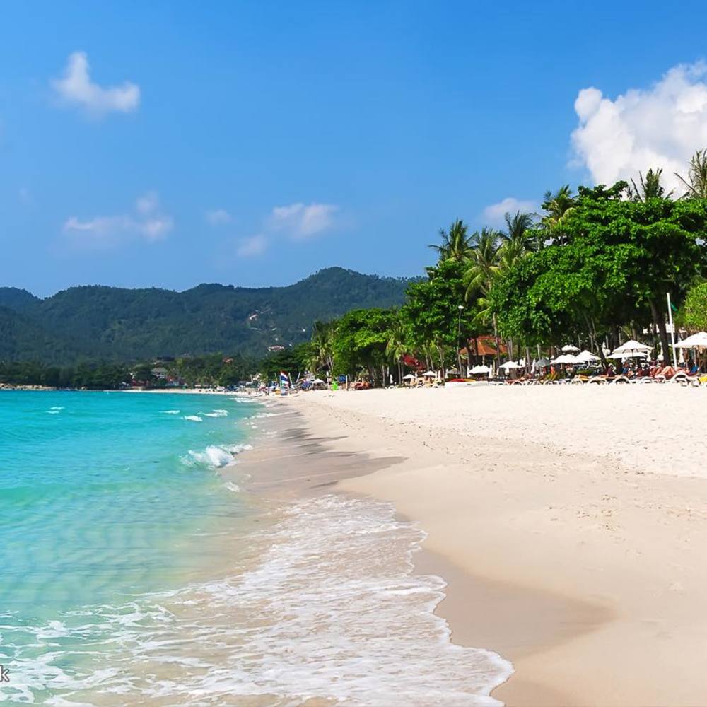 Meet your Posher, Sam